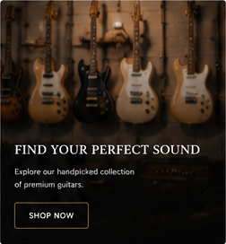 https://guitarzone.co.il/wp-content/uploads/2026/06/sidebar-addvertise.jpg